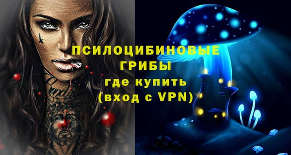 тгк Медвежьегорск