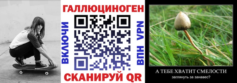 Купить где  Жигулёвск  Псилоцибиновые грибы Psilocybine cubensis 